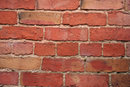 Vivitar Auto Macro 55mm f/2.8 - Texture In Old Brick