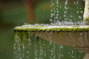 1/1000 sec | f/2.8 | 180.0 mm | ISO 100