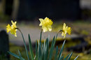 1/320 sec | f/2.8 | 200.0 mm | ISO 100