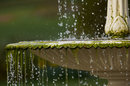 1/500 sec | f/4.5 | 250.0 mm | ISO 100