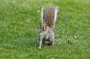1/400 sec | f/5.6 | 310.0 mm | ISO 200