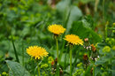 1/125 sec | f/5.6 | 85.0 mm | ISO 200