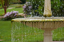 1/125 sec | f/5.6 | 85.0 mm | ISO 100