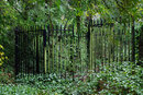 Pentax K-3 II With 50mm F1.4 - Green Gates | 1/25 sec | f/5.6 | ISO 1600 | 50mm