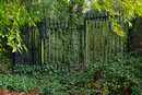 Pentax K-3 III With 50mm F1.4 - Green Gates | 1/40 sec | f/4.5 | ISO 400 | 50mm