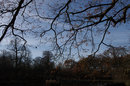 CA In Camera Correction | 1/1600 sec | f/5.6 | 24.4 mm | ISO 200