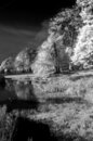 Pseudo infra-red images work well with the K-r sensor