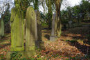 Pentax KP With 50mm F1.4 - Gravestones | 1/50 sec | f/11 | ISO 400 | 50mm