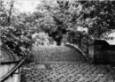 Leica Monopan 50 - Cobbled Bridge No Filter