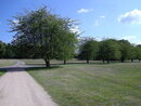 Pentax Optio RS1500 Landscape