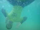 Pentax optio W60 - Underwater