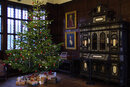 Pentax K-1 with SMC Pentax-FA 24-90mm f/3.5-4.5 - Christmas Tree Bramhall Hall