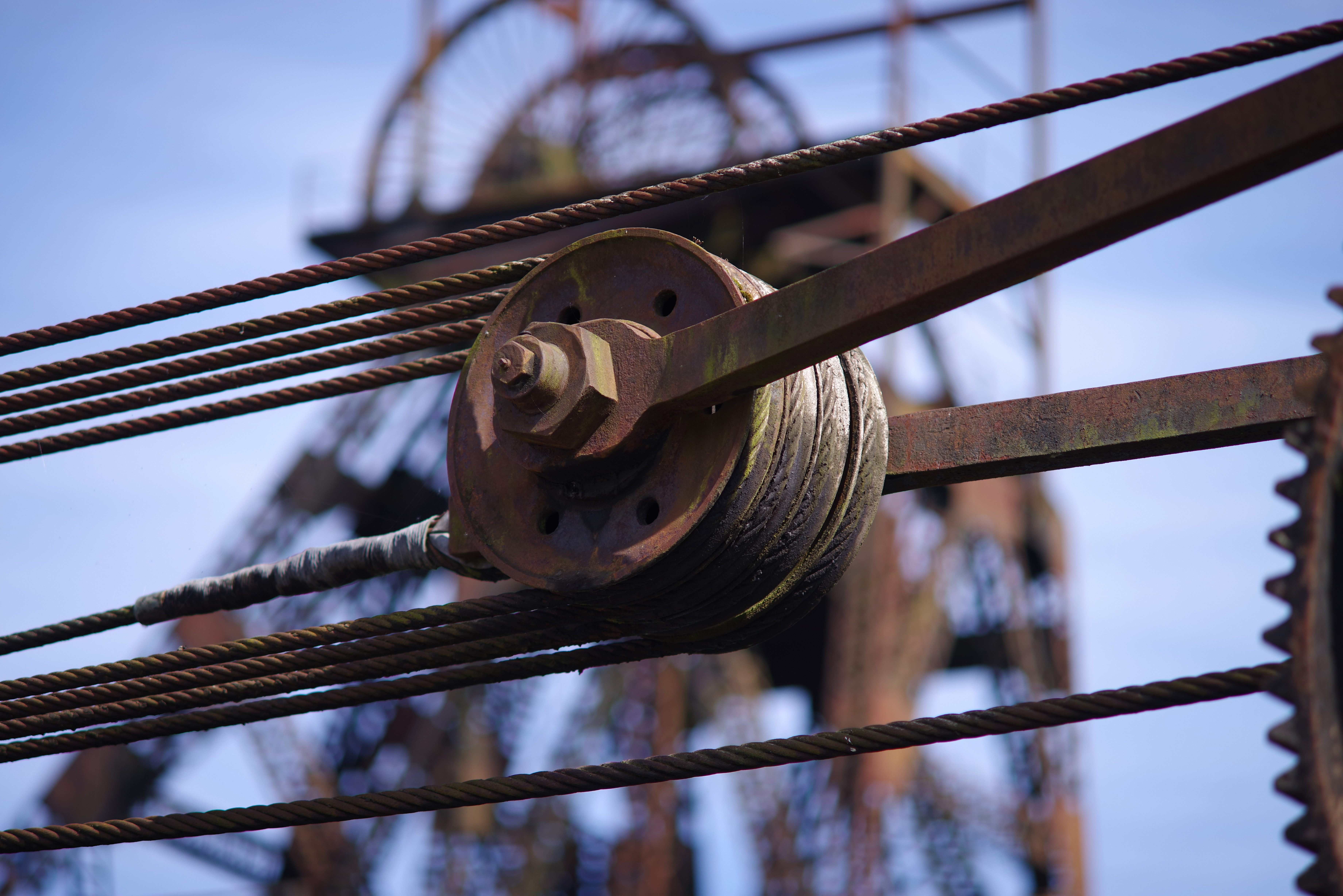 みかん PENTAX SMC 06 みかん PENTAX SMC 06 みかん PENTAX SMC 06