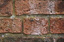 SMC Pentax 55mm f/1.8 On K-1 - Texture In Old Brick
