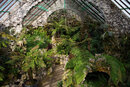 SMC Pentax-F 35-70mm f/3.5-4.5 - Fernery