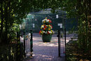 SMC Pentax-F 35-70mm f/3.5-4.5 - Southport Botanic Gardens Aviary