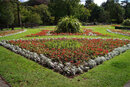 SMC Pentax-F 35-70mm f/3.5-4.5 - Southport Botanic Gardens Flower Beds
