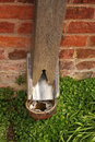 SMC Pentax-F 35-70mm f/3.5-4.5 - Arley Tea House Downspout Detail | 1/40 sec | f/18 | ISO 400 | 70mm