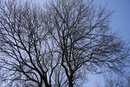 SMC Pentax-F 35-70mm f/3.5-4.5 - CA Test | 1/800 sec | f/8 | ISO 400 | 60mm