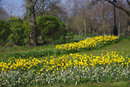 SMC Pentax-F 35-70mm f/3.5-4.5 - Spring At Buile Hill | 1/400 sec | f/11 | ISO 400 | 70mm