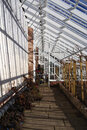 SMC Pentax-F 50mm f/1.7 - Glasshouse Interior