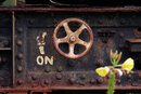 SMC Pentax-M 200mm f/4 - On Only | 1/100 sec | f/8 | ISO 200