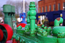 XR Rikenon 50mm f/2 S - Bokeh at f/5.6