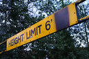 XR Rikenon 50mm f/2 S - Max Headroom